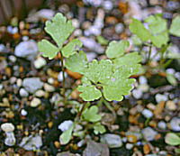 c0027666_2203510.jpg