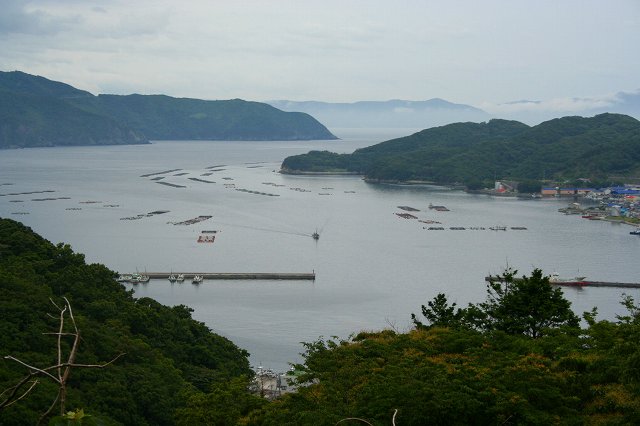 小学生とお魚交流会_c0044297_17474395.jpg