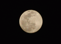 d0043231_1781346.gif