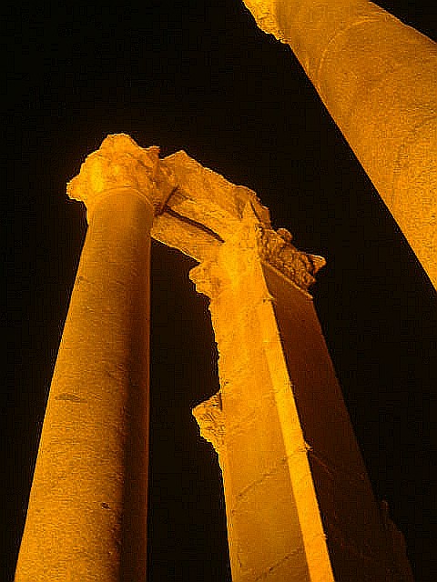 パルミラの夜　A Night in Palmyra_c0011649_8502699.jpg