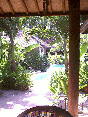 d0038319_9125718.gif