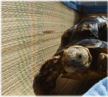 b0055276_23325976.gif