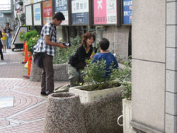 c0044897_838787.jpg