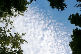 d0056828_1575423.jpg