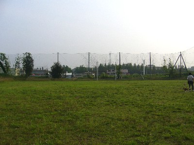 b0045357_1047034.jpg