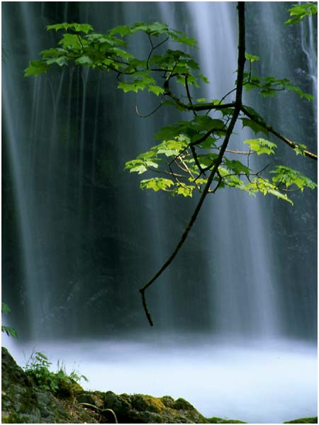 枯れ山水の水の音(十二の滝)_c0061761_0573863.jpg