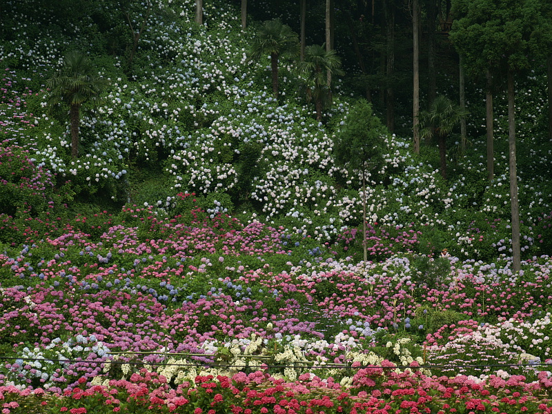 e0006964_2122331.jpg