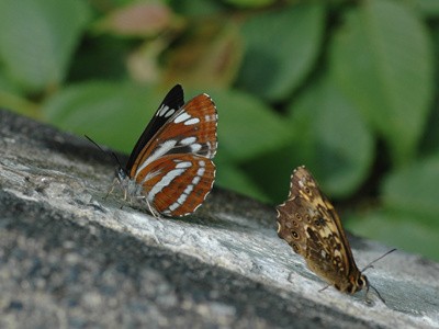 c0049095_2263994.jpg
