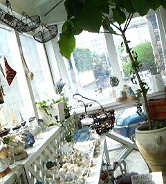 d0065116_18441937.jpg