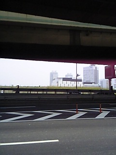 a0002826_12791.jpg