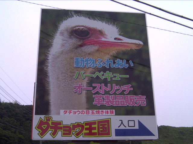 ダチョウ王国 袖ヶ浦ファーム : リッチな毎日