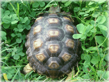 b0055276_22321979.gif