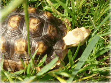 b0055276_22353783.gif
