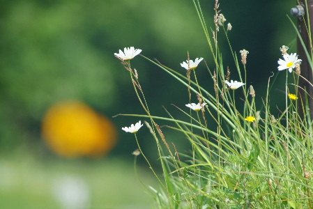 背景の方が目立つ Ng写真集 背景の方が目立つ Ng写真集