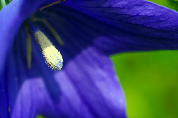 c0044720_91299.jpg