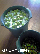 c0029744_08621.jpg