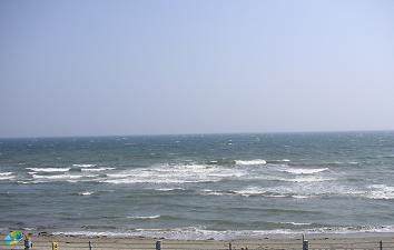 c0050419_2313839.jpg