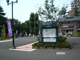 b0068551_1117256.jpg