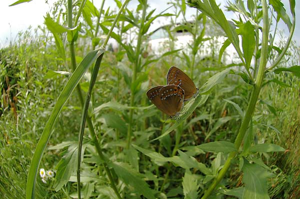 c0043361_2137455.jpg