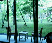 c0038524_303688.jpg
