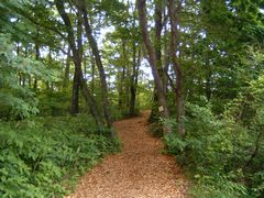 b0042334_017658.jpg