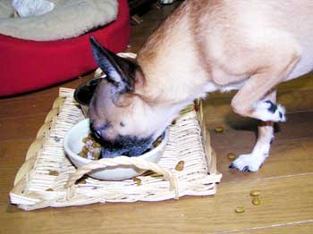c0019050_21304.jpg