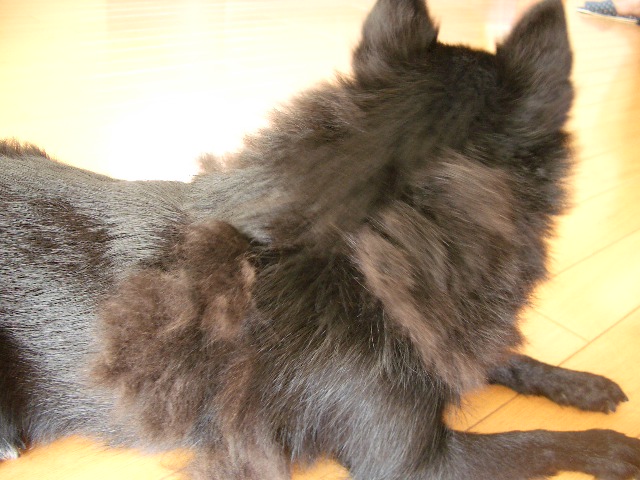 e0002466_215433.jpg