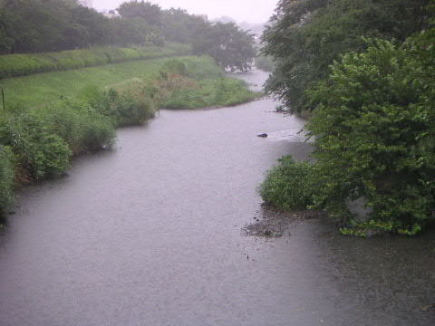 ２日続きの雨_a0016829_6341867.jpg