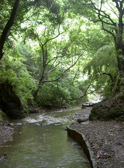 束の間の浄化_c0001364_2256912.jpg