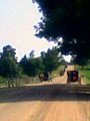 a0034225_4162815.jpg