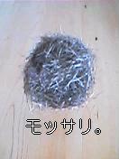 c0015354_14321876.jpg