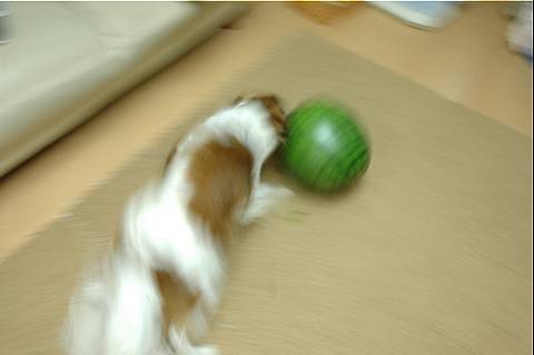 c0075585_1354971.jpg