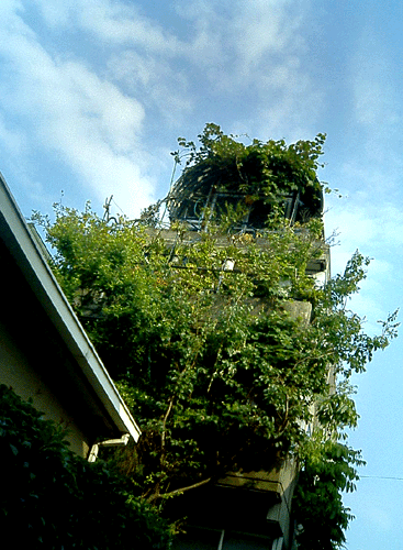 d0015006_847327.gif