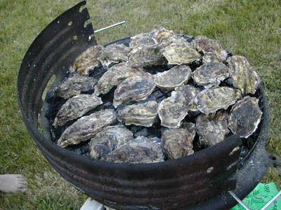 b0069848_74973.jpg