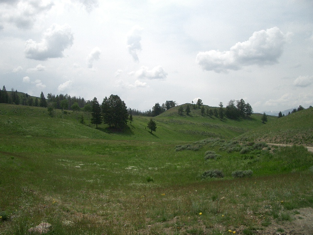 Yellowstone National Park_e0008771_11483847.jpg