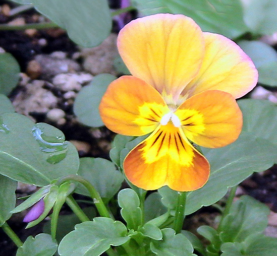 c0016987_21482229.jpg