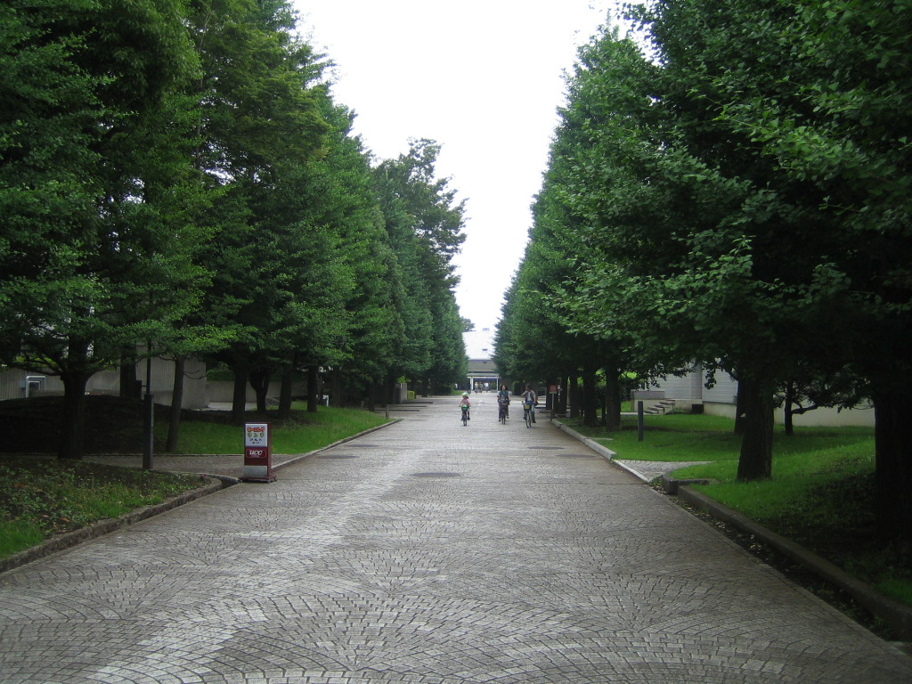 c0043720_1539308.jpg