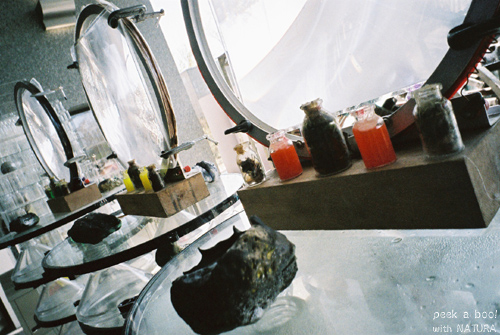 e0005553_16192446.jpg