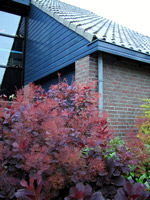 c0072971_22365.jpg