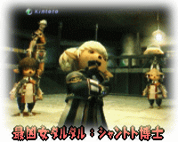 FF11ﾌﾟﾛﾌｨｰﾙ_a0019082_20384082.gif