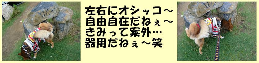 ◆本日開催＆本邦初公開！？_d0032004_2127237.jpg