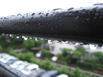 d0014408_1415579.gif