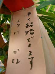 星に願いを その1 (SSOK 編)_b0054727_2162290.jpg