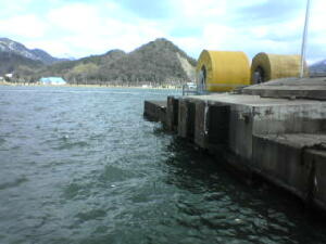 雨の前島埠頭 チヌ フォトin舞鶴 雑記 雨の前島埠頭 チヌ フォトin舞鶴 雑記