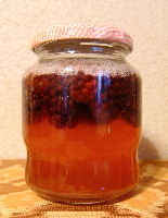 ブラックベリー酵母_c0055363_15151764.jpg