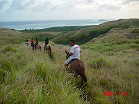 Sunset horse ride2_d0012449_21243274.jpg