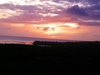 Sunset horse ride2_d0012449_2261976.jpg