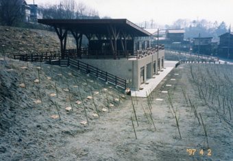b0024611_9364216.jpg