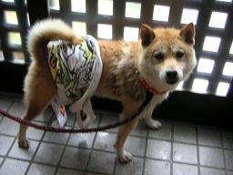 貴重な晴れ間に。。。_c0049950_1946720.jpg