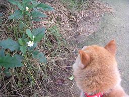 貴重な晴れ間に。。。_c0049950_2033816.jpg